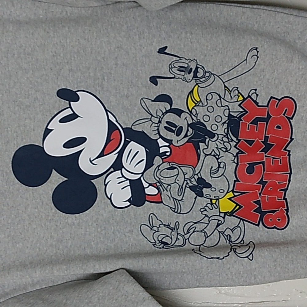 Disney Mickey and Friends Sweatshirt Pullover Size XS EUC Super Soft C… - Picture 1 of 4